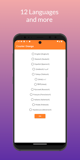 Courier Orange Screen 3