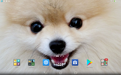 Spitz live wallpaper Screen 3
