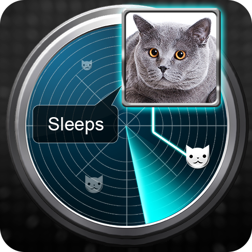 Radar What Makes Cat Joke 1.0 Icon