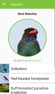 NatureAi: Nature Identification Paid Apk – Nature Scanner 1