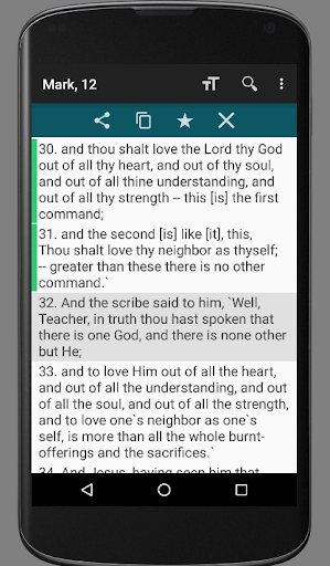 Screenshot of Young's Literal T. Bible (YLT)