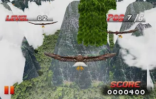 Bird Race 3D - Screenshot 1