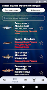 ЭкоГид: Рыбы России