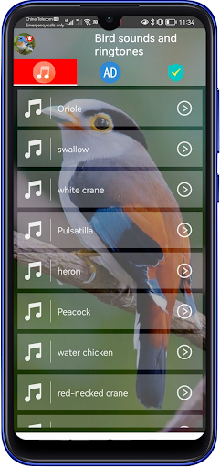 Android application Bird Sounds And Ringtones screenshort