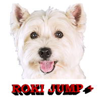 RokiJump+