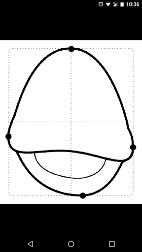 Dental Anatomy Screen 2
