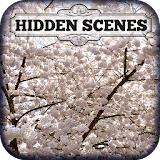 Hidden Scenes First of Spring icon
