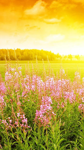 Sunrise Live Wallpaper Screen 3