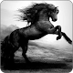Horse Wallpapers Download on Windows