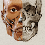 Cover Image of Download 3D Anatomy for the Artist  APK