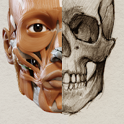 3D Anatomy for the Artist  Icon