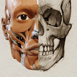 Imagen de ícono de Anatomía 3D para el artista