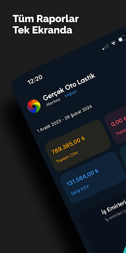 Lastsis - Raporlama ekran görüntüsü