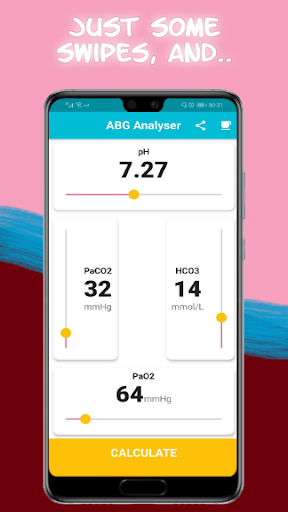 ABG Analyser Screen 2
