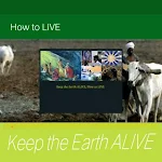 Cover Image of Descargar How to LIVE  APK