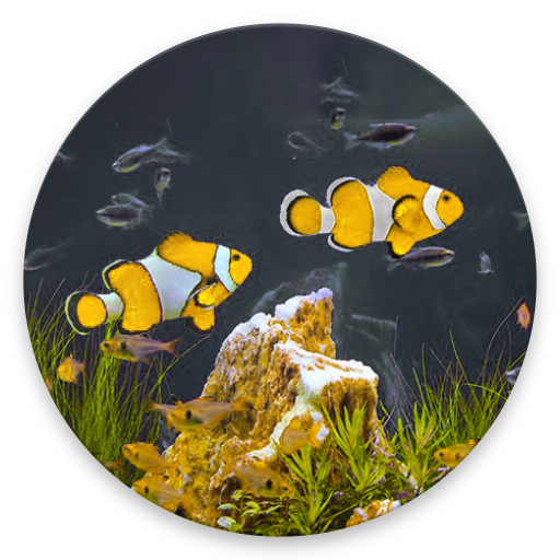 Screensaver - Dreamy Aquarium 1.0 Icon