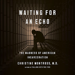Icon image Waiting for an Echo: The Madness of American Incarceration