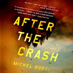 Icon image After the Crash: A Novel
