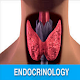 Endocrinology Guide تنزيل على نظام Windows