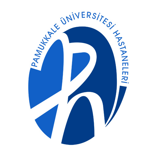 Pau Navi logo