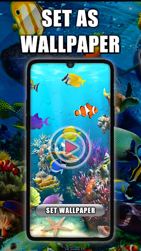 Android application Fish Live Wallpaper screenshort