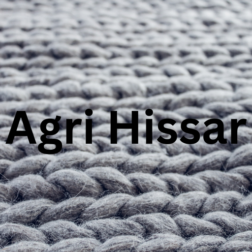 Agri Hissar logo