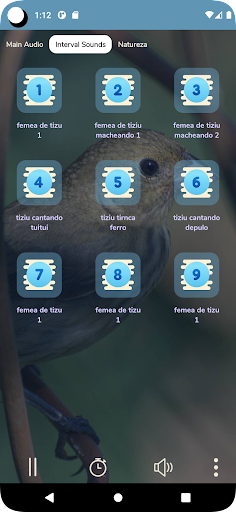 fêmea de tiziu chamando Screen 3