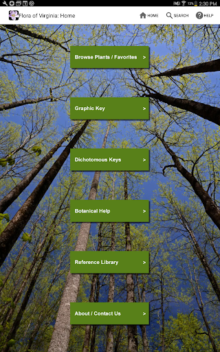Screenshot of Flora of Virginia
