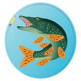 Fishing Fish Counter :  fishing app icon