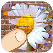Top 47 Trivia Apps Like Flowers, guess which one is hiding - Best Alternatives