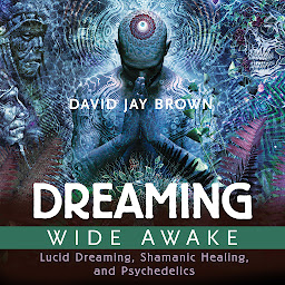 Icon image Dreaming Wide Awake: Lucid Dreaming, Shamanic Healing, and Psychedelics