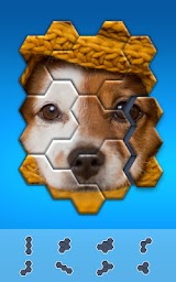 Hexa Jigsaw Puzzle ®