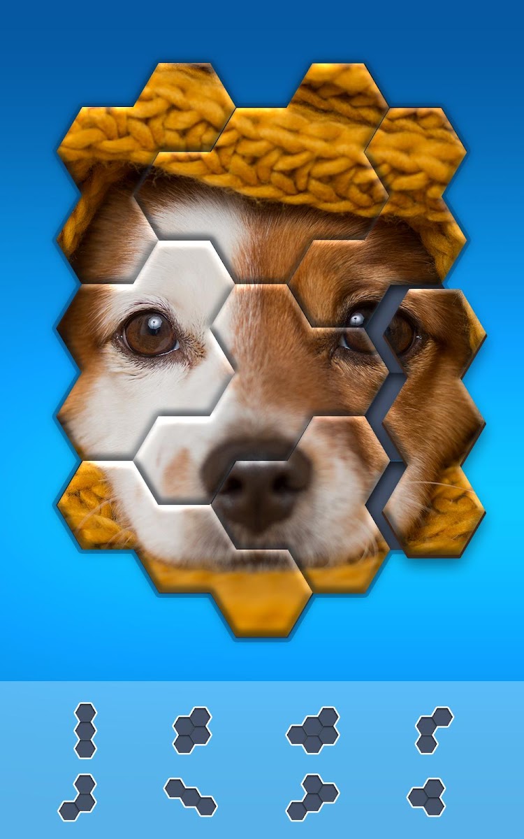Hexa Jigsaw Puzzle  Featured Image for Version 