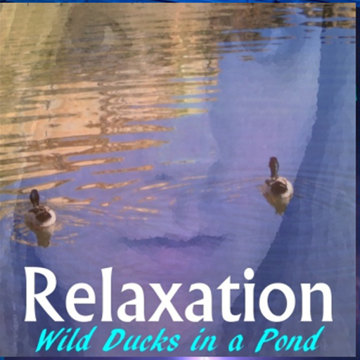 Relaxation - Ducks In A Pond 1.0 Icon