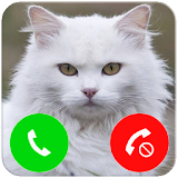 Talking Cat Call Prank icon