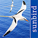 All Birds West Indies: Puerto - Androidアプリ
