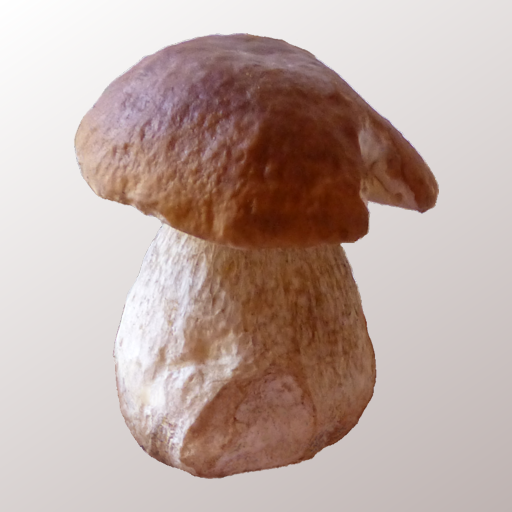 Myco - Mushroom Guide 1.4.0 Icon