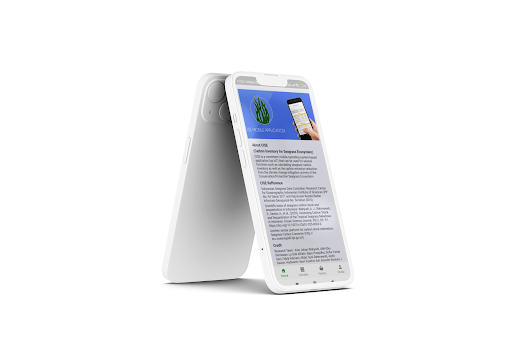 Cise BRIN Screen 3