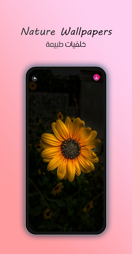 4K Nature Wallpapers Screen 2