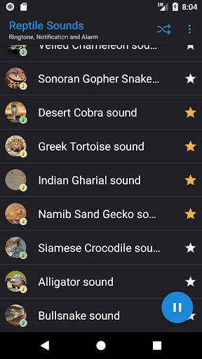 Reptile Sounds Screen 3