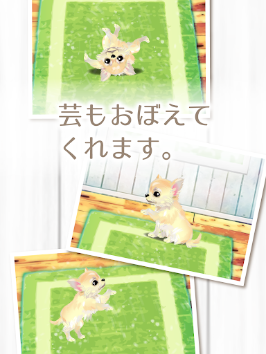 Screenshot 13