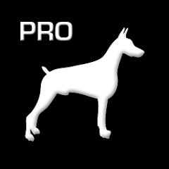 Tough dog best sale cameras