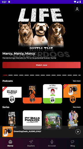 Rabid Reality Screen 2