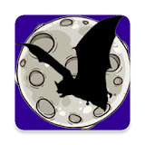 Bat at Night icon