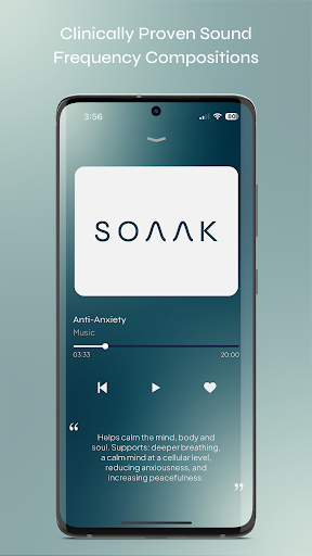 Screenshot of Soaak