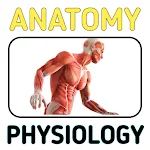 Cover Image of ดาวน์โหลด Anatomy and Physiology  APK
