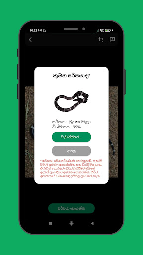 Snake Info Screen 3