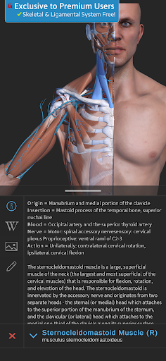 Screenshot of Visual Anatomy 3D - Human body