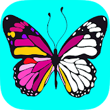 Butterfly & Flower Art Therapy icon