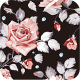 floral roses wallpaper ver105 icon